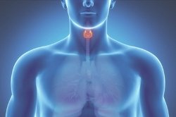 Симптомы увеличения щитовидной железы